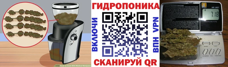 где продают   Сланцы  Canna-Cookies конопля 