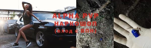 a pvp Баксан