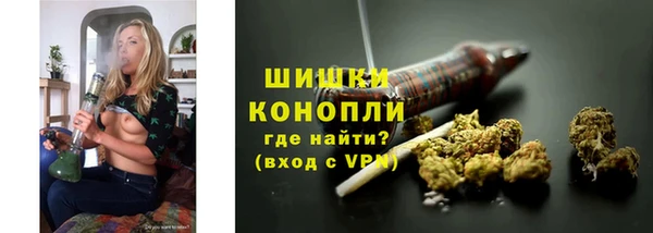 спайс Болотное